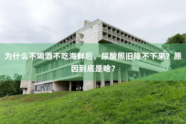 为什么不喝酒不吃海鲜后，尿酸照旧降不下来？原因到底是啥？