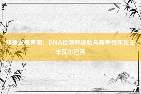 拜登发表声明：DNA检测解说哈马斯率领东谈主辛瓦尔已死