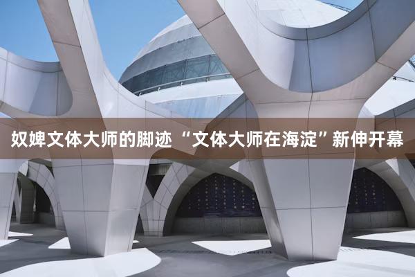 奴婢文体大师的脚迹 “文体大师在海淀”新伸开幕