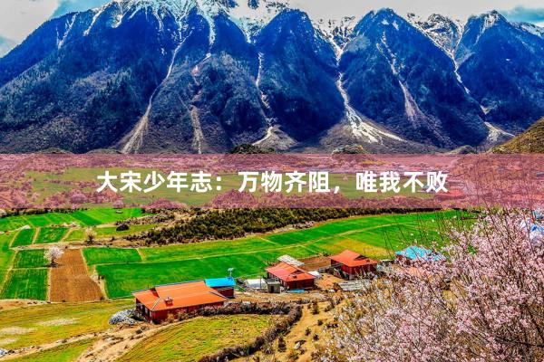 大宋少年志：万物齐阻，唯我不败
