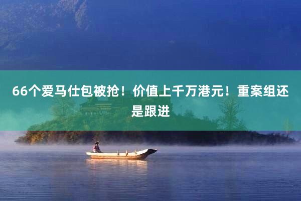 66个爱马仕包被抢！价值上千万港元！重案组还是跟进