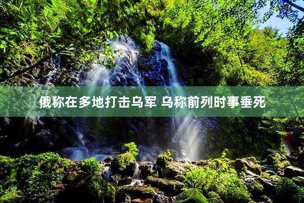 俄称在多地打击乌军 乌称前列时事垂死